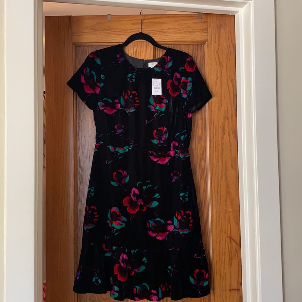 J. Crew NWT velvet dress